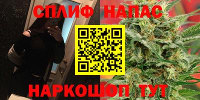 скорость Пугачёв