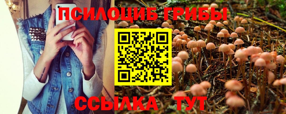 Галлюциногенные грибы мицелий Родники