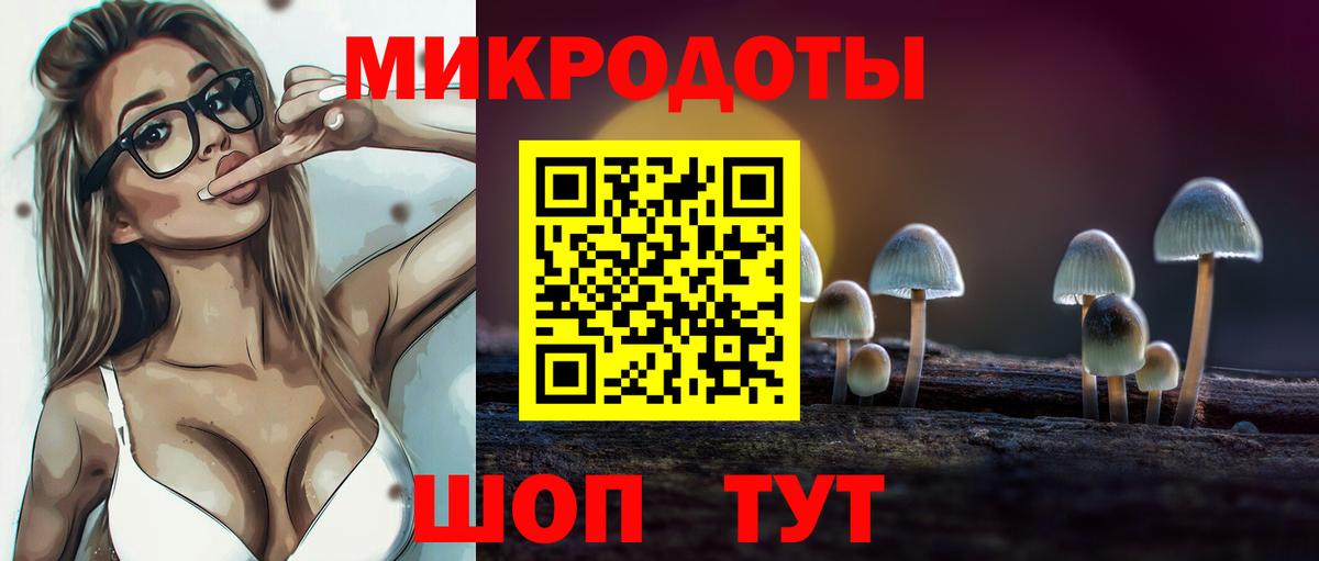 Родники  Псилоцибиновые грибы Psilocybe  Вход с VPN 